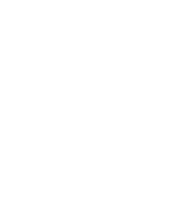 Feide logo
